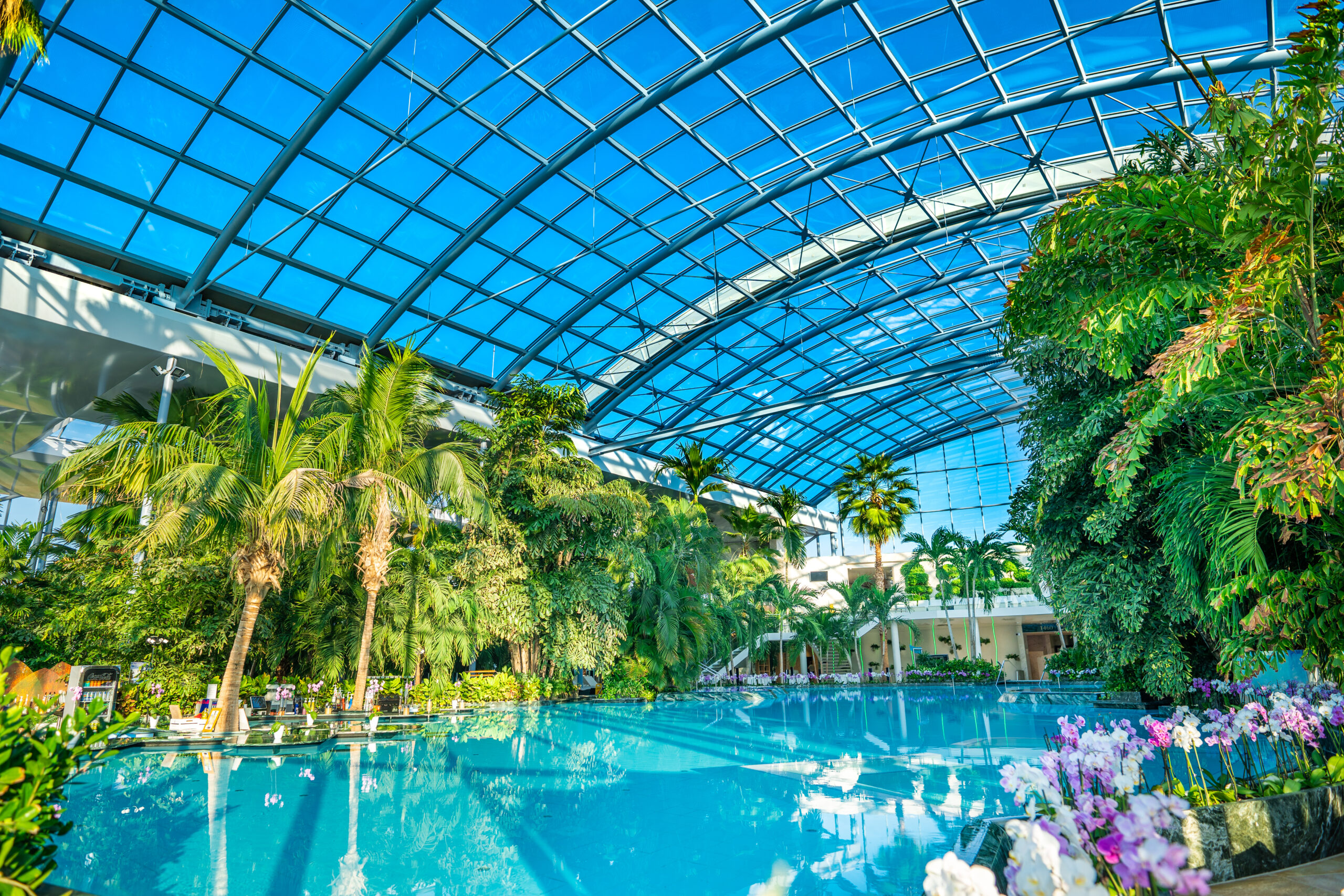 relaxare la Therme